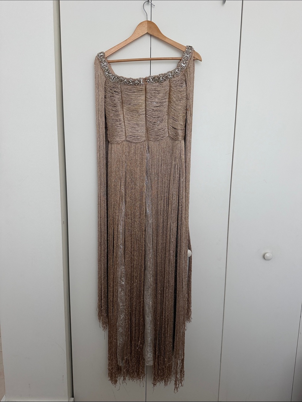 Champagne Fringe Evening Gown - Picture 2 of 2